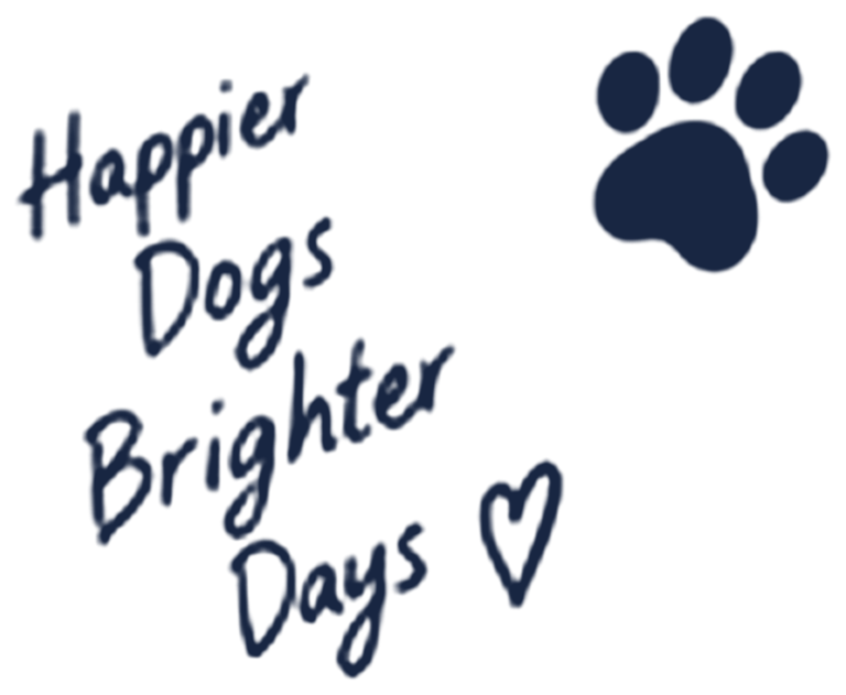 Training & Behavior - smartpupfinds.com