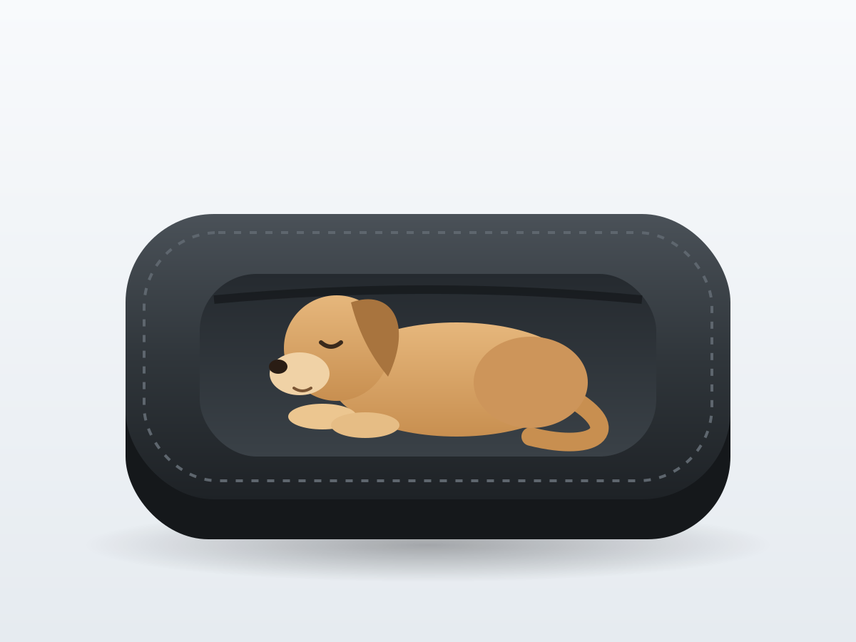 Travel dog bed