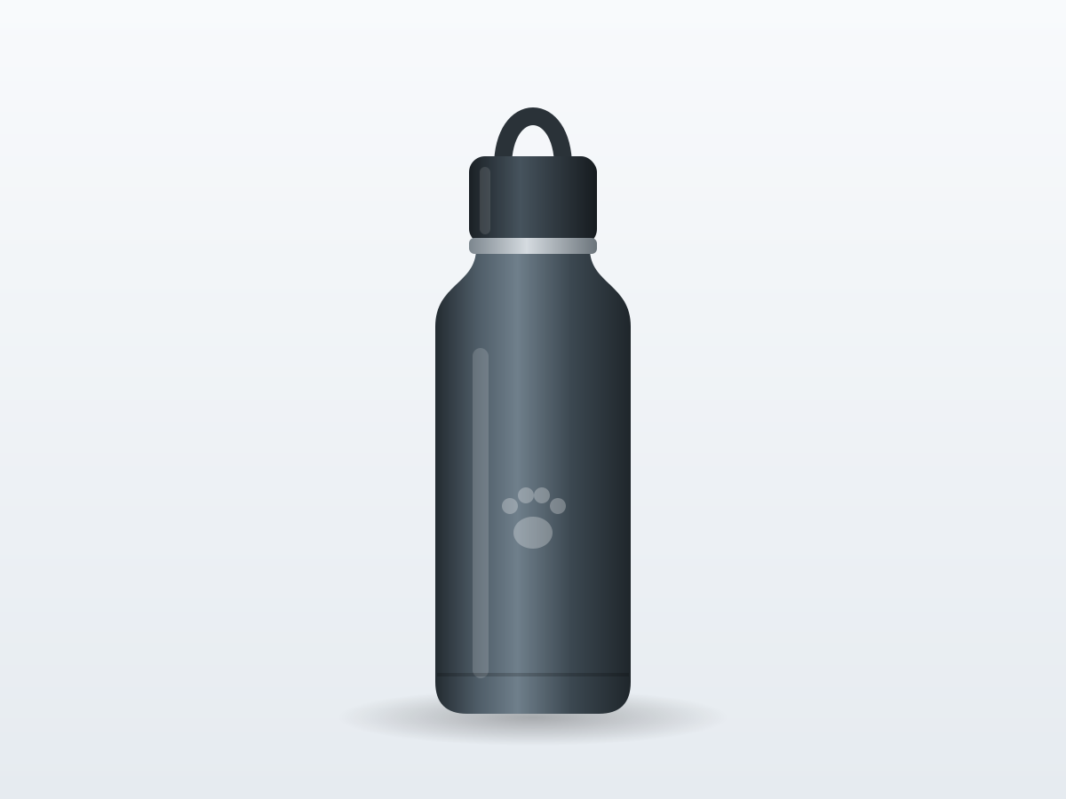 Portable dog water bottle